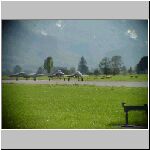 DSC00332.jpg