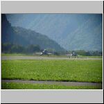 DSC00394.jpg