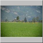 DSC00427.jpg
