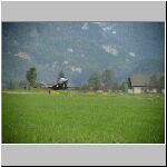 DSC00428.jpg