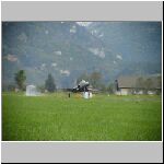 DSC00430.jpg