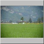 DSC00444.jpg