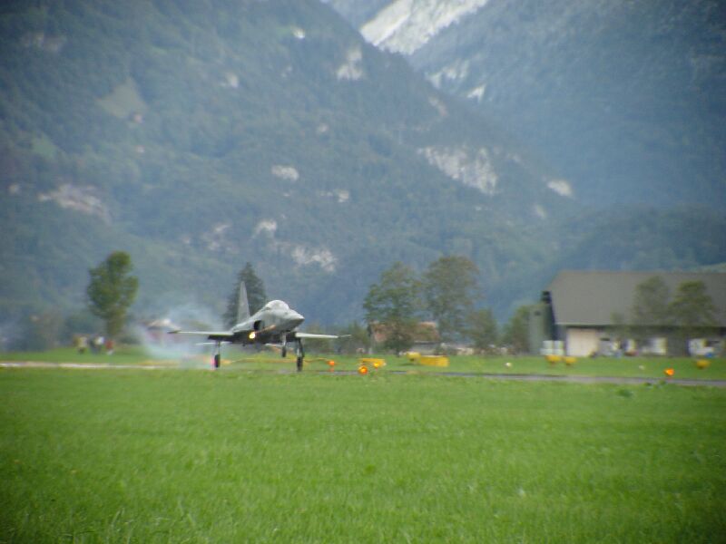 DSC00445.jpg