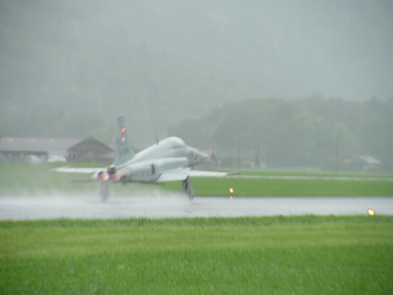 DSC00507.jpg