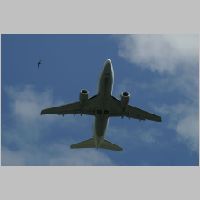PICT0896.jpg