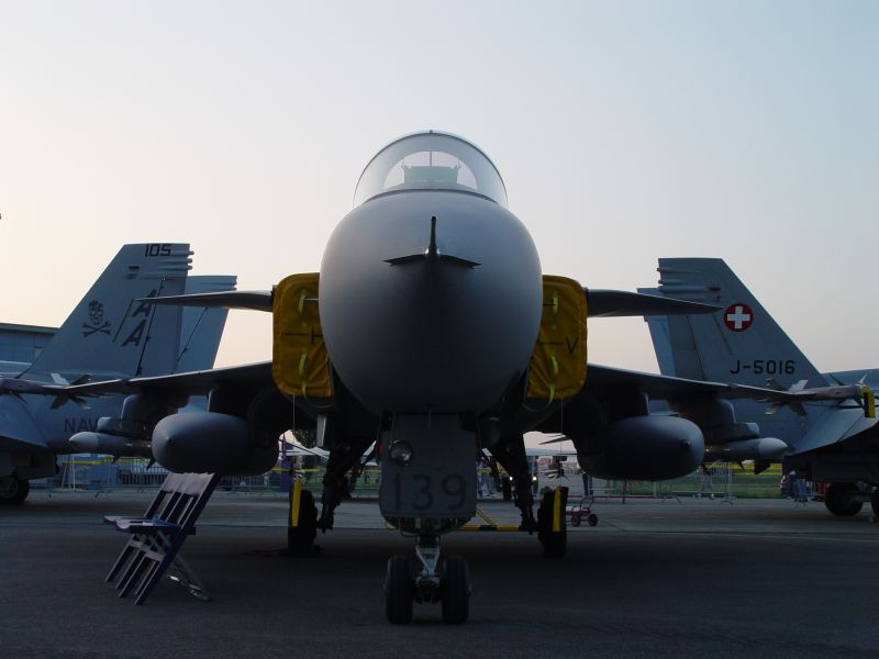 gripen%20(1).jpg