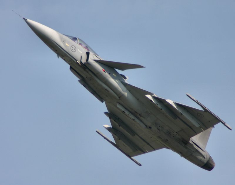 gripen%20(3).jpg