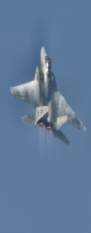 f-15%20(3).jpg