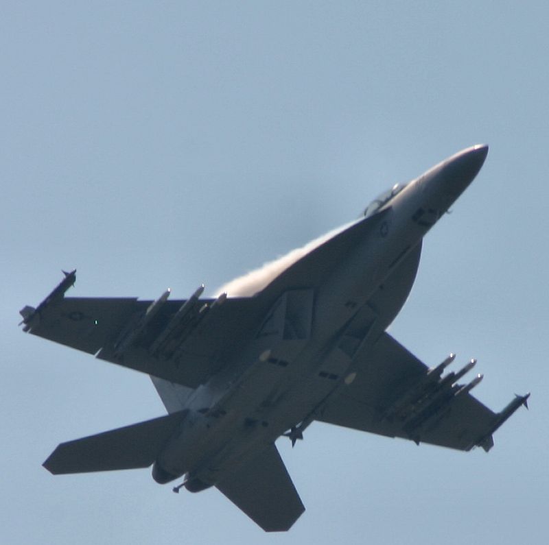 super%20hornet%20(5).jpg