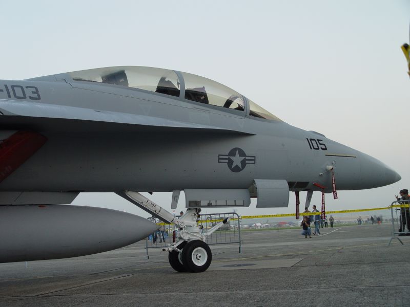 super%20hornet%20(9).jpg