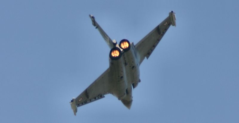 raffael%20(3).jpg