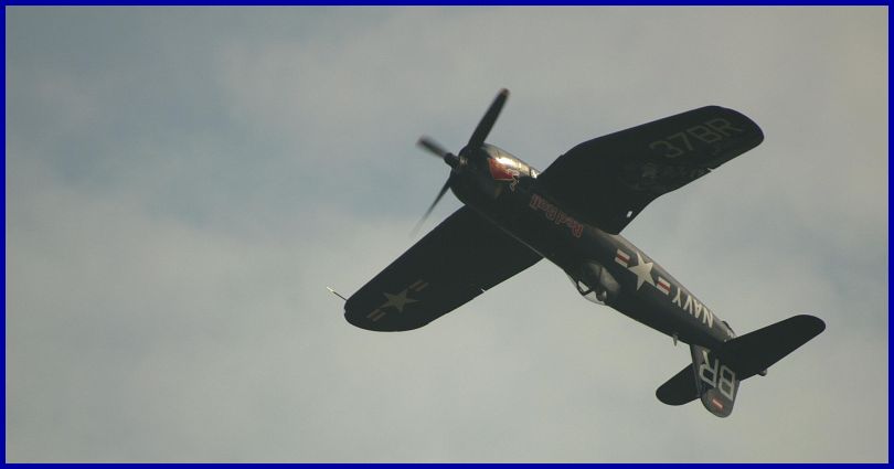 Warbirds%20(1).JPG