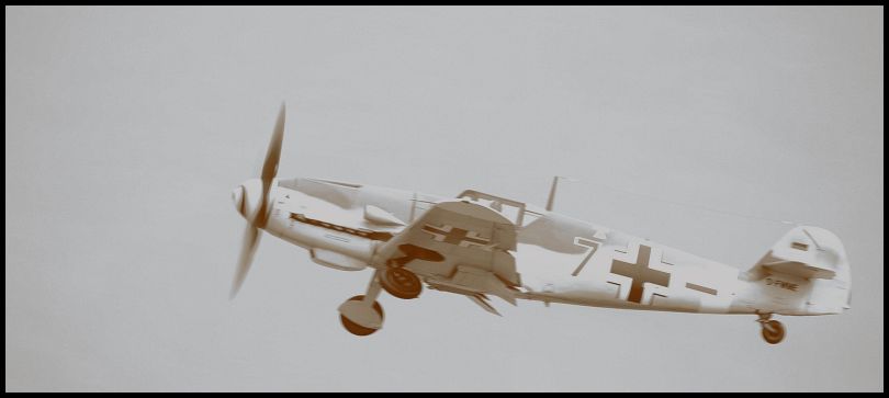 Warbirds%20(12).JPG