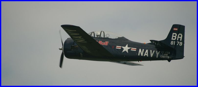 Warbirds%20(19).JPG