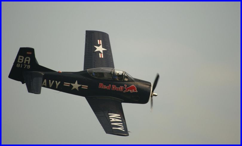 Warbirds%20(27).JPG