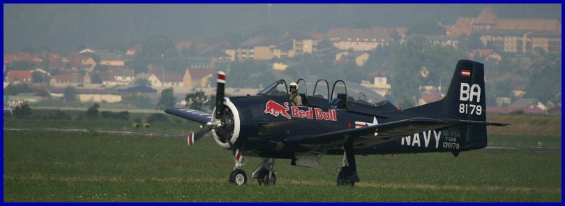 Warbirds%20(4).JPG