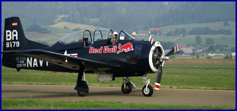 Warbirds%20(7).JPG