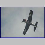 Warbirds.JPG