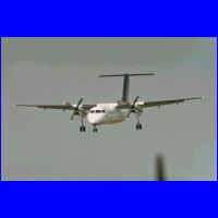 imm018a.jpg