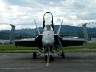 dsc00130.jpg