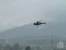 dsc00156.jpg
