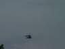dsc00165.jpg
