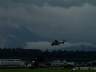 dsc00209.jpg