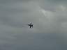 dsc00216.jpg