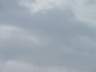 dsc00225.jpg
