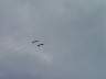 dsc00240.jpg