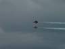 dsc00244.jpg