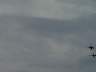 dsc00246.jpg