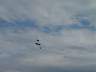 dsc00249.jpg