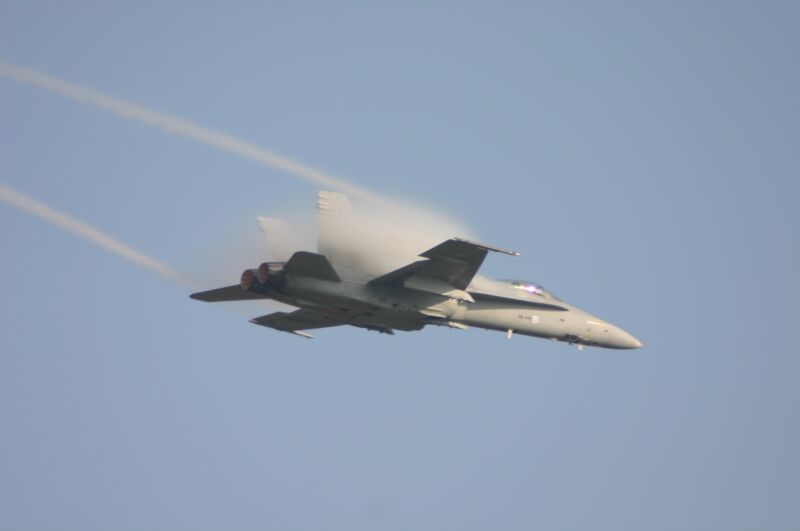 CRW_1982.jpg